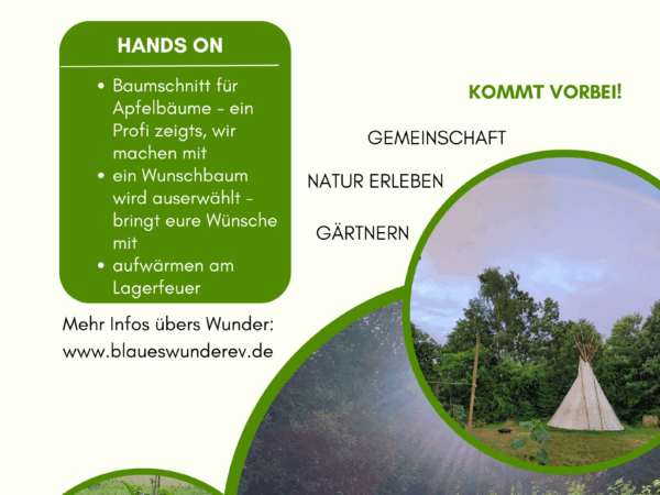 Willkommen Wunder-Jahr 2026!