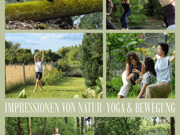 Workshop mit Yoga und Freier Bewegung in der Natur